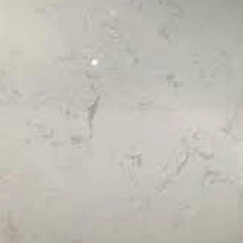 upload/images/san-pham/1836625221467175.webp